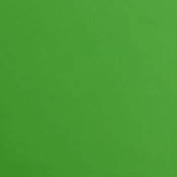 Scaun pentru salon spa, verde, 44 x 44 x (46-57) cm