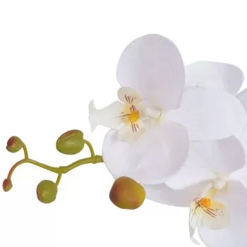 Planta artificiala orhidee cu ghiveci, alb, 65 cm