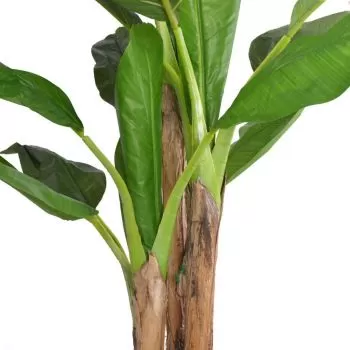 Bananier artificial cu ghiveci, verde, 175 cm