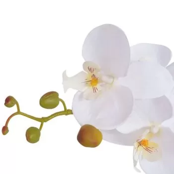 Planta artificiala orhidee cu ghiveci, alb, 75 cm