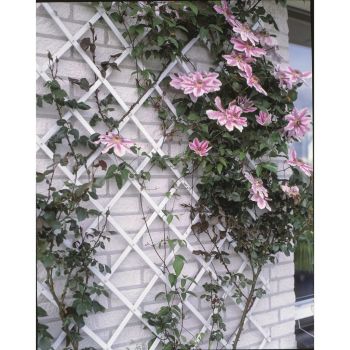 Gard de grădină tip Trellis, 50 x 150 cm PVC, alb, 6040701