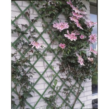 Gard de grădină tip Trellis, 50 x 150 cm PVC, verde, 6040702