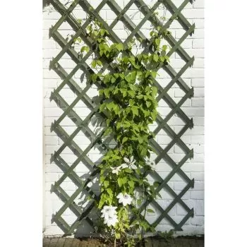 Spalier de grădină, verde, 50 x 150 cm, lemn