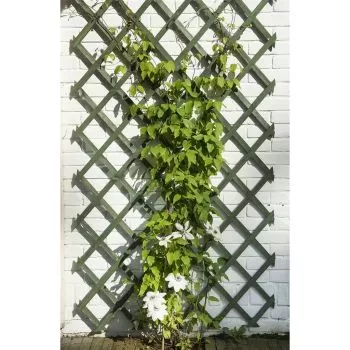 Spaliere de grădină, 2 buc., verde, 50 x 150 cm, lemn