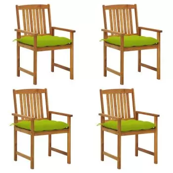 Set 4 bucati scaune regizor cu perne, verde deschis