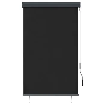  Jaluzea tip rulou de exterior, antracit, 100 x 250 cm