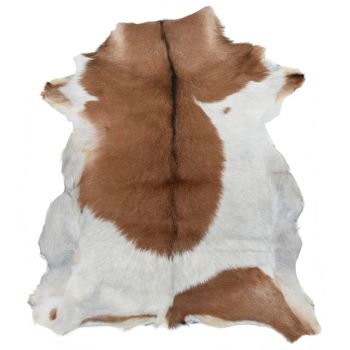 Piele de capră, alb și maro mixt, 60x100 cm