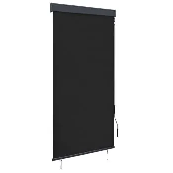  Jaluzea tip rulou de exterior, antracit, 100 x 250 cm