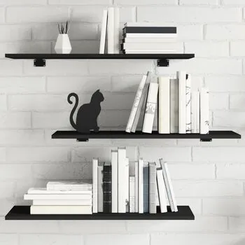  Plăci bibliotecă, 4 buc., negru, 80 x 30 x 1,5 cm, PAL