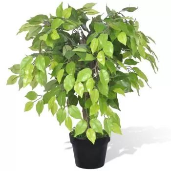 Ficus pitic artificial cu aspect natural si ghiveci, verde, 60 cm