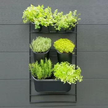 Set jardiniera verticala pentru perete, negru