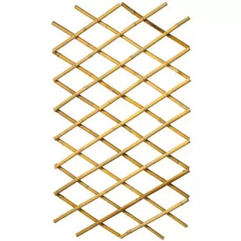 Spalier de grădină, 70x180 cm, Bambus, 6040721