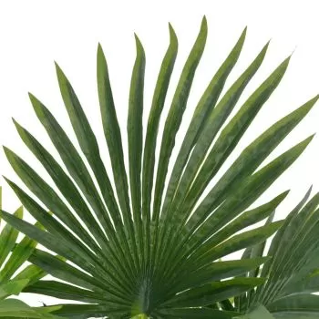 Planta artificiala palmier cu ghiveci, verde, 70 cm