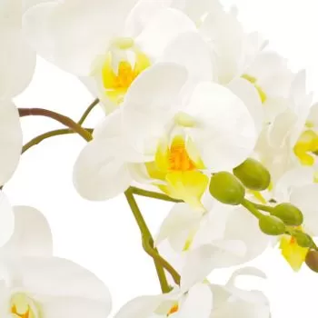 Planta artificiala orhidee cu ghiveci, alb, 60 cm