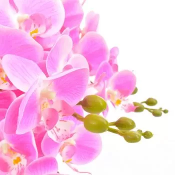 Planta artificiala orhidee cu ghiveci, roz, 60 cm