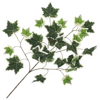 Frunze artificiale de iederă, 10 buc., verde și alb, 70 cm