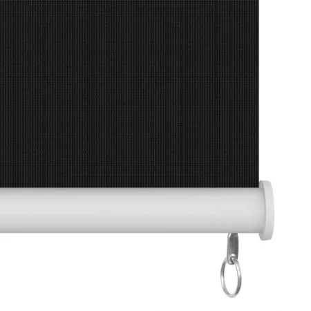 Jaluzea tip rulou de exterior, negru, 200 x 230 cm