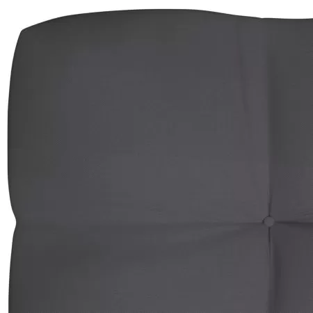 Perna pentru canapea de gradina, antracit, 120 x 40 x 10 cm
