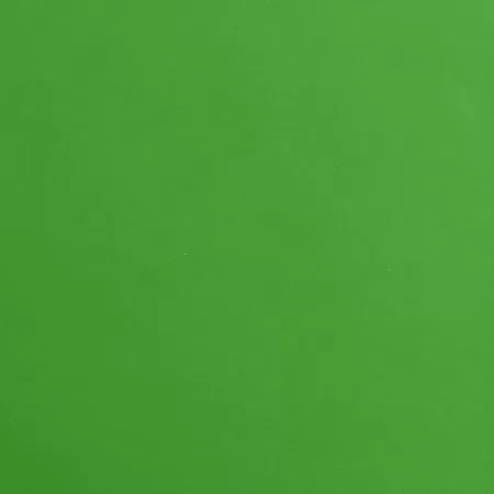 Scaun pentru salon spa, verde, 44 x 44 x (46-57) cm