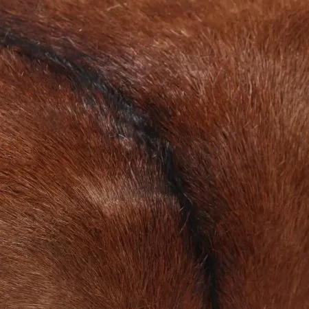 Taburet, 40x30x45 cm, piele naturală de capră