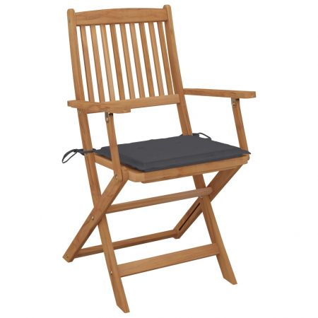 Set 4 bucati scaune gradina pliabile cu perne, antracit