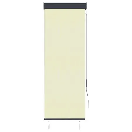  Jaluzea tip rulou de exterior, crem, 60 x 250 cm