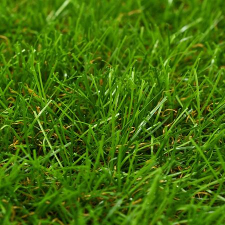  Gazon artificial, verde, 1 x 10 m/40 mm