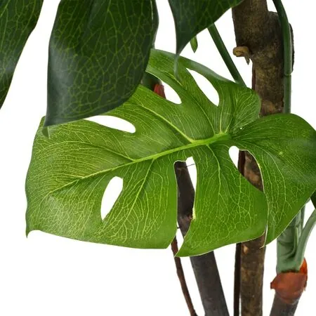  Plantă artificială Monstera cu ghiveci 170 cm Verde