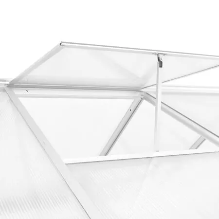  Seră, 11,19 m³, 302x190x195 cm, aluminiu