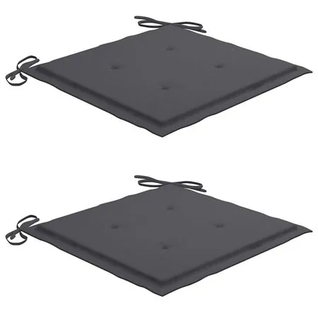  Scaune de grădină cu perne, 2 buc., lemn masiv de acacia