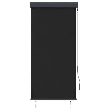  Jaluzea tip rulou de exterior, antracit, 80 x 250 cm