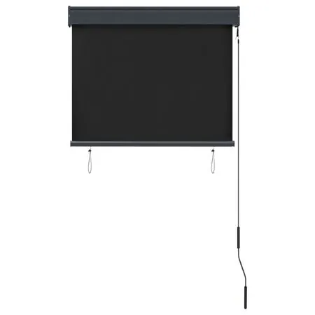  Jaluzea tip rulou de exterior, antracit, 80 x 250 cm