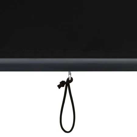 Jaluzea tip rulou de exterior, antracit, 160 x 250 cm