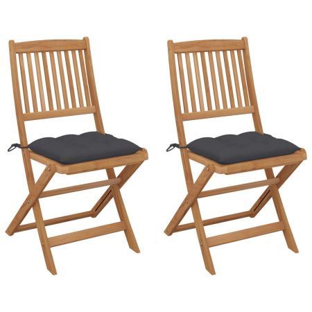 Set 2 bucati scaune gradina pliabile cu perne, antracit