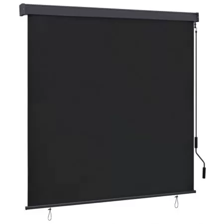  Jaluzea tip rulou de exterior, antracit, 160 x 250 cm