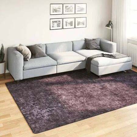 Covor lavabil, antracit, 190x300 cm, antiderapant