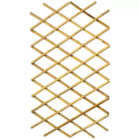 Spalier de grădină, 100x200 cm Bambus, 6040722