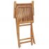 Set 2 bucati scaune de gradina pliante, multicolor