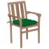 Set 2 bucati scaune gradina cu perne verde, verde