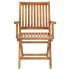 Set 2 bucati scaune gradina cu perne bej, bej