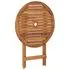  Set mobilier grădină, pliabil, 3 piese, lemn masiv acacia