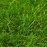  Gazon artificial, verde, 1 x 10 m/40 mm
