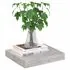  Raft de perete suspendat, gri beton, 23x23,5x3,8 cm, MDF