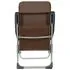  Scaune de camping pliante, 2 buc., maro, aluminiu 