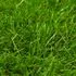  Gazon artificial, verde, 1 x 5 m/40 mm
