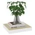  Raft de perete suspendat, stejar/alb, 23x23,5x3,8 cm, MDF