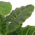  Plantă artificială Taro cu ghiveci, 45 cm, verde