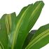  Plantă Dracena artificială cu ghiveci, 90 cm, verde