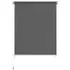  Jaluzea tip rulou de exterior, 160 x 230 cm, antracit