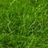  Gazon artificial 1,33 x 10 m/40 mm, verde